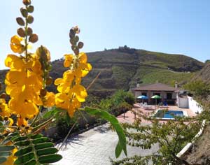 Echt-Andalusie-Vakantiehuis-Casa-Lagar