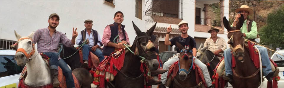 El Borge - in het weekend de paarden van stal