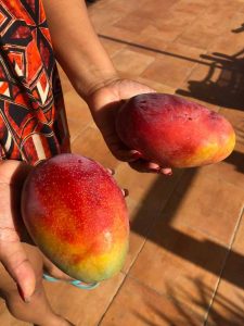 mango's uit Spanje