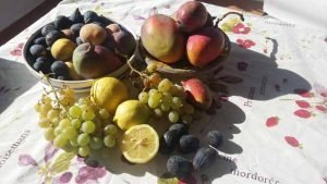uw fruitschaal bij aankomst in Finca la Palma