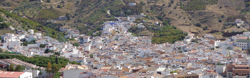 Finca Albero - Benamargos - pueblo blanco voor de dagelijkse boodschappen - EchtAndalusie Finca Albero - Benamargos - pueblo blanco voor de dagelijkse boodschappen - EchtAndalusie